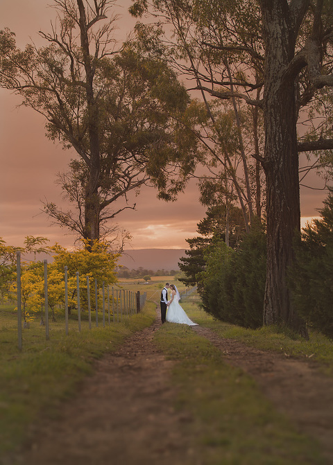 A beautiful Sunset on the ground of the stunning Oakville house.